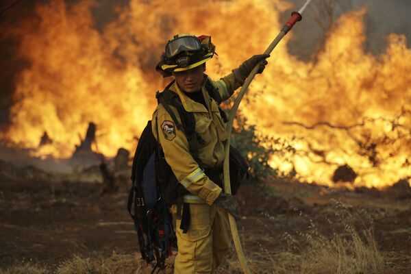 مامور آتش نشانی در زمان آتش سوزی جنگلی در کالیفرنیا - اسپوتنیک ایران  