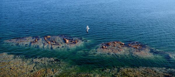 قتل یک گردشگر آمریکایی در هند با تیرکمان - اسپوتنیک ایران  