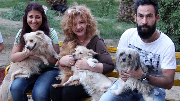 پارک های سوریه شاهد گردش سگ ها با صاحبان آنها + ویدئو - اسپوتنیک ایران  