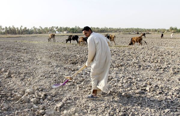 مردی در زمین خشک مشغول کار است ، عراق - اسپوتنیک ایران  