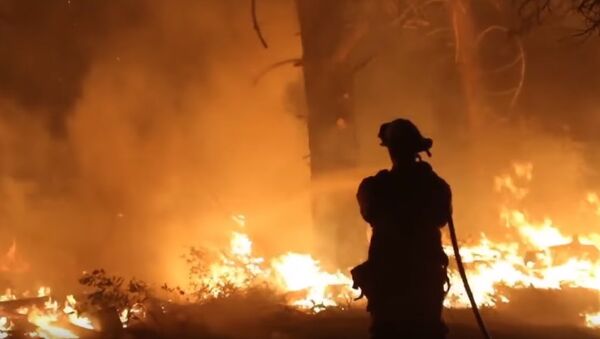 بزرگترین آتش سوزی کالیفرنیا + فیلم - اسپوتنیک ایران  