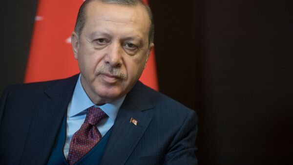 اردوغان: آمریکا از پشت به ترکیه خنجر می زند - اسپوتنیک ایران  
