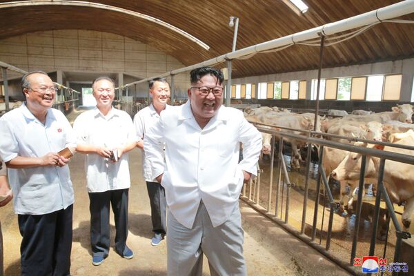 کیم جونگ اون رهبر کره شمالی در حال دیدن از گاوداری - اسپوتنیک ایران  