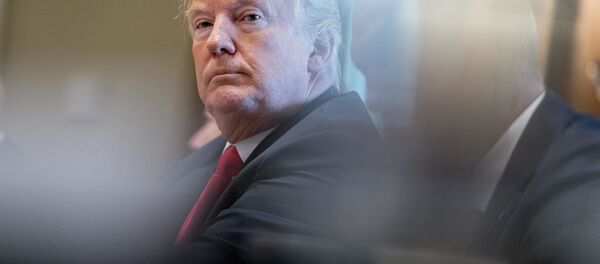 شروط ترامپ برای لغو تحریم علیه روسیه - اسپوتنیک ایران  