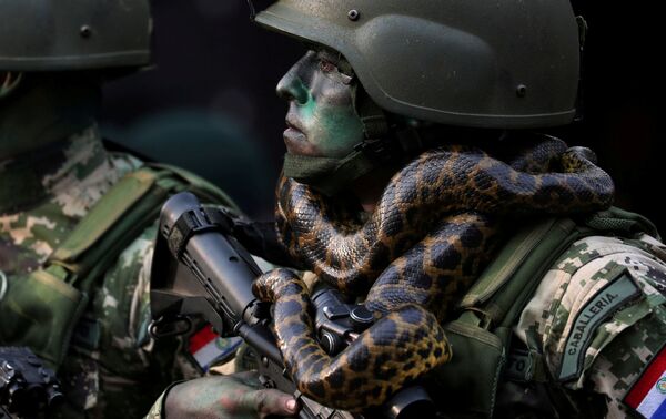 سرباز واحد ویژه با مار در پاراگوئه - اسپوتنیک ایران  