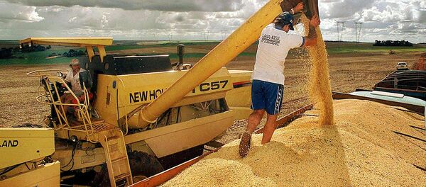 تحریمات ضد ایرانی چه تأثیری بر برزیل می گذارد؟ تحریمات ضد ایرانی چه تأثیری بر برزیل می گذارد؟ - اسپوتنیک ایران