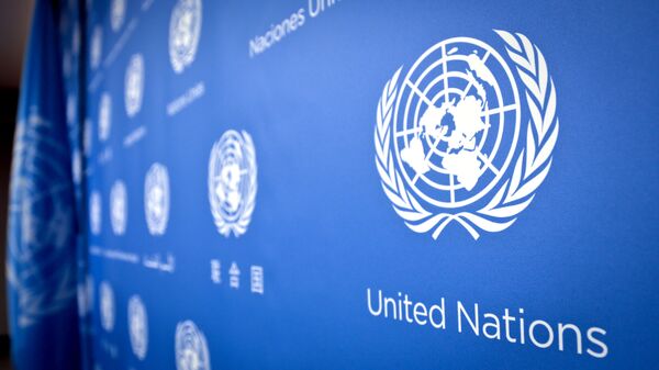 سازمان ملل متحد به حمله آمریکا واکنش نشان داد - اسپوتنیک ایران  