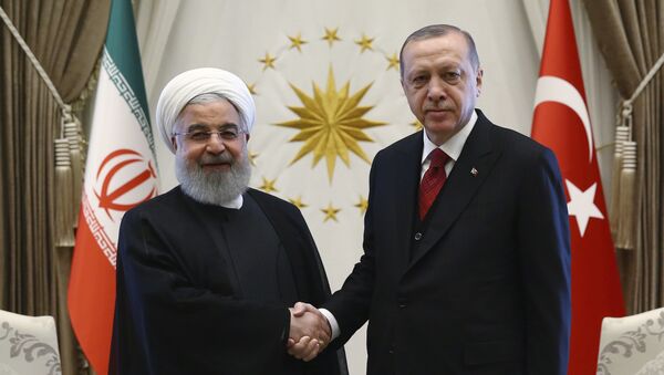 مکانیسم بین ایران و ترکیه چه منافع و تبعاتی خواهد داشت - اسپوتنیک ایران  