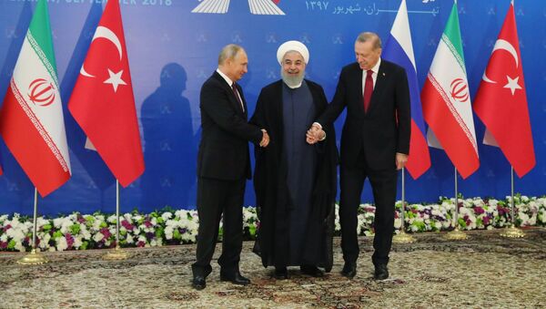 اجلاس روسیه، ترکیه و ایران به زودی برگزار خواهد شد - اسپوتنیک ایران  