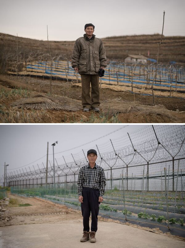 کشاورزی در شهر کیسون کره شمالی  و کشاورزی از کره جنوبی در منطقه عاری از تسلیحات - اسپوتنیک ایران  