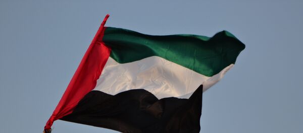 افشاگری روزنامه مریکایی: امارات از یمن فرار می کند - اسپوتنیک ایران  