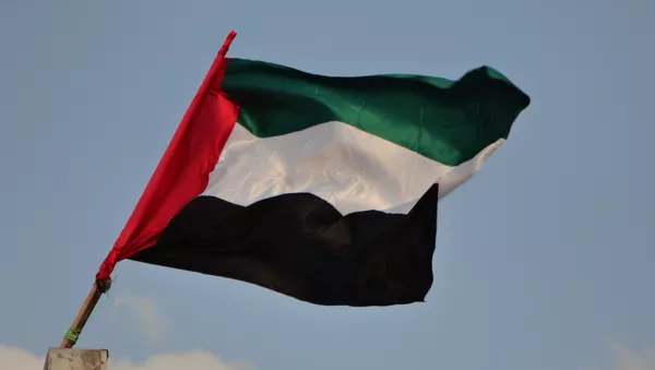 افشاگری روزنامه مریکایی: امارات از یمن فرار می کند
