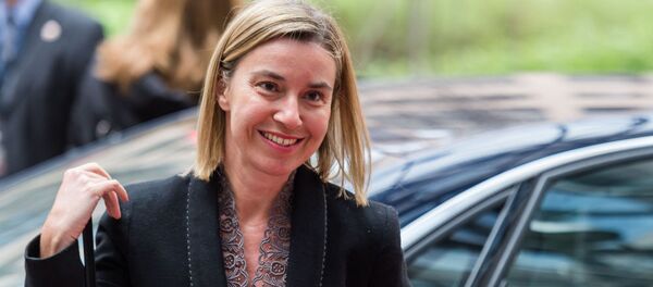 درخواست موگرینی از جامعه جهانی - اسپوتنیک ایران  