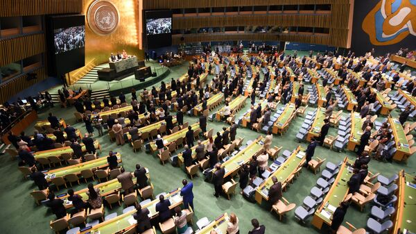 ایران از حق رای در مجمع عمومی سازمان ملل محروم شد - اسپوتنیک ایران  