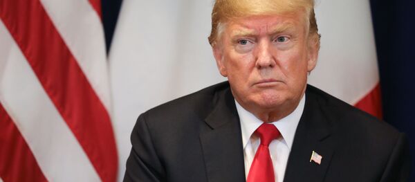 سپاسگذاری ترامپ از روسیه، ایران و سوریه - اسپوتنیک ایران  