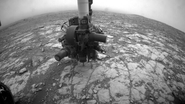 امکان زندگی در سطح مریخ وجود دارد  - اسپوتنیک ایران  