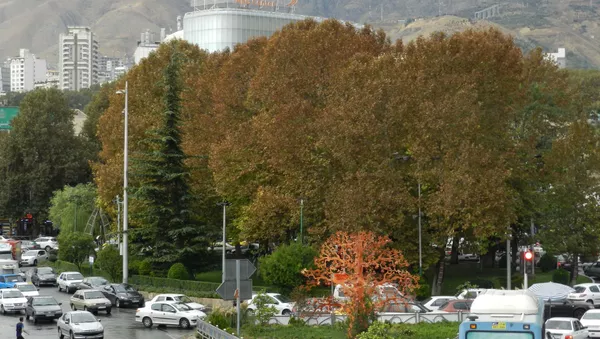 مرکز اسناد فرهنگی آسیا در ایران منحل شد - اسپوتنیک ایران  