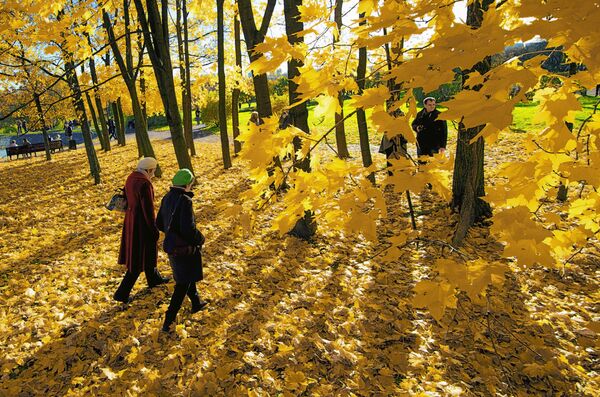 پاییز در پارک «کالومینسکایا» مسکو - اسپوتنیک ایران  