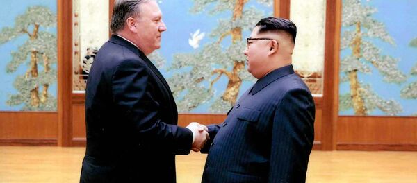 افشای جزئیات مذکرات پمپئو و رهبر کره شمالی افشای جزئیات مذکرات پمپئو و رهبر کره شمالی - اسپوتنیک ایران