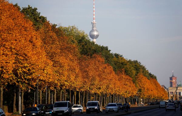 درختان پاییزی در پارک تیرگارتن برلین، آلمان - اسپوتنیک ایران  