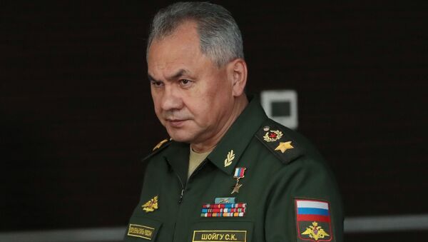 شایگو: ارتش روسیه در جایگاه اول مسلح سازی مدرن است - اسپوتنیک ایران  