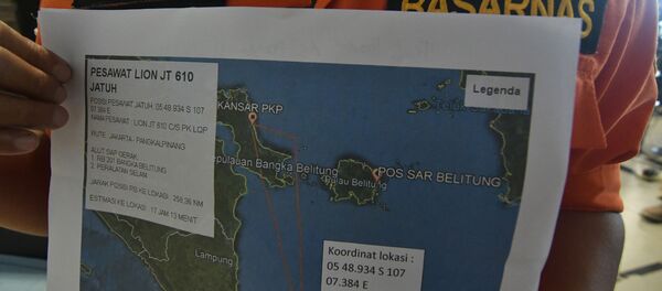 وحشت سرنشینان بوئینگ 737 اندونزی پیش از سقوط + ویدئو وحشت سرنشینان بوئینگ 737 اندونزی پیش از سقوط + ویدئو - اسپوتنیک ایران