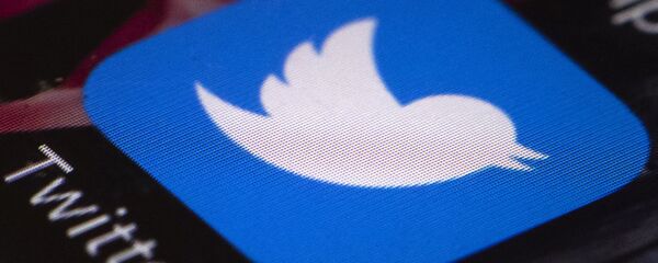 حذف حساب های کاربری غیرفعال از توییتر حذف حساب های کاربری غیرفعال از توییتر - اسپوتنیک ایران