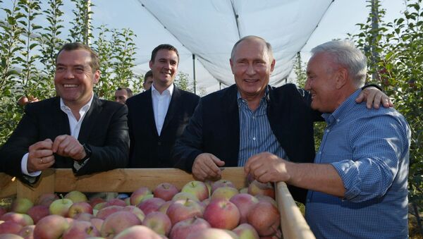 ولادیمیر پوتین رئیس جمهور روسیه و دیمیتری مدودف نخست وزیر در زمان بازدید از باغ سیب کارخانه کشاورزی «راس سوت» در استاوروپل - اسپوتنیک ایران  
