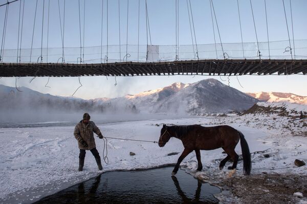 مردی اسب را برای آب خوردن به رودخانه کاتون در نزدیکی روستای تونگور در منطقه اوست ـ  کوکسینسکی منطقه  آلتای آورده است - اسپوتنیک ایران  