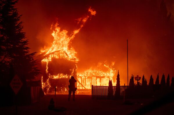گردباد آتش در کالیفرنیا - اسپوتنیک ایران  