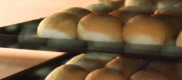 رئیس اتحادیه نانوایان تهران: به علت دمای بالای نانوایی، نانواها کرونا نمیگیرند رئیس اتحادیه نانوایان تهران: به علت دمای بالای نانوایی، نانواها کرونا نمیگیرند - اسپوتنیک ایران