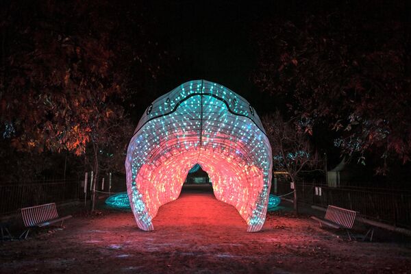 فستیوال رقص نور در پاریس - اسپوتنیک ایران  