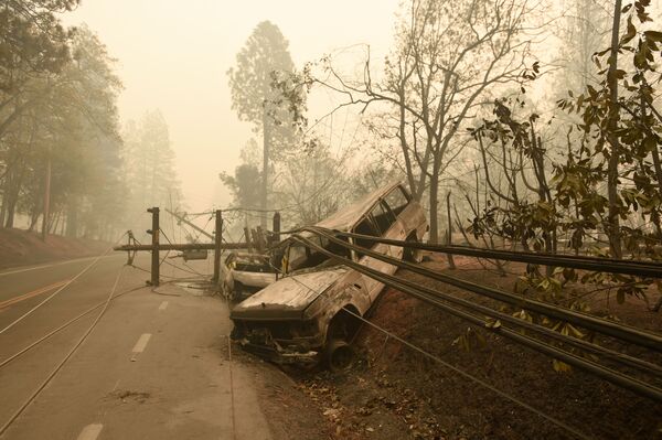 پیامدهای آتش سوزی ها در جنگل های ایالت کالیفرنیا  امریکا - اسپوتنیک ایران  