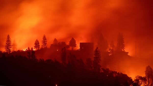افزایش تعداد ناپدیدشدگان آتش سوزی کالیفرنیا + تصاویر - اسپوتنیک ایران  