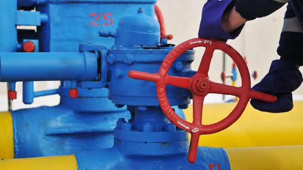 بعید است اتحادیه اروپا واردات گاز از خط لوله روسیه را ممنوع کند - اسپوتنیک ایران  