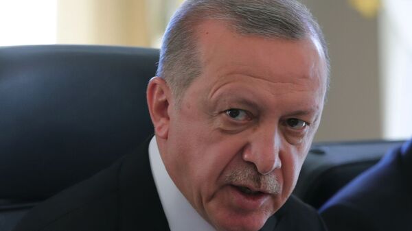 اردوغان:  جریان ترکی ، انگیزه جدیدی برای کشورهای اروپاییست - اسپوتنیک ایران  