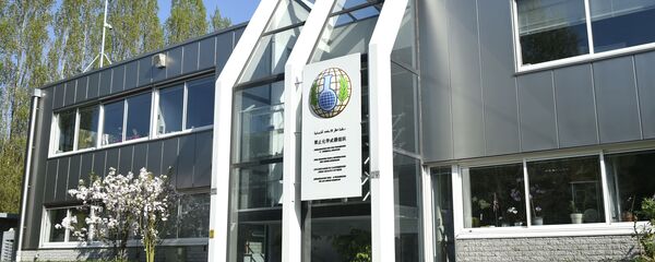 تاثیر منفی فعالیت آمریکا در کار سازمان منع سلاح های شیمیایی - اسپوتنیک ایران  