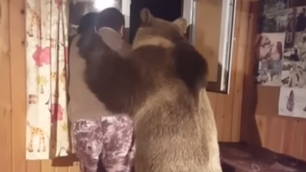 آغوش گرم خرس در روسیه + ویدئو - اسپوتنیک ایران  