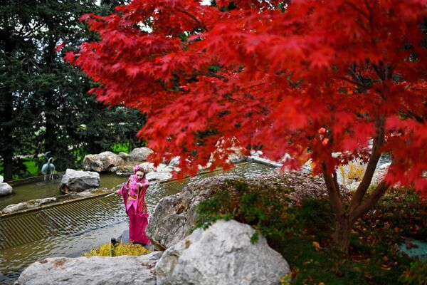 باغ ژاپنی در محوطه پارک «آیاوازوفسک» شبه جزیره کریمه - اسپوتنیک ایران  