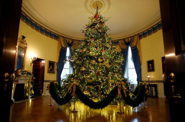 درخت کاج سال نو در اتاق آبی کاخ سفید به مناسبت کریسمس - اسپوتنیک ایران  