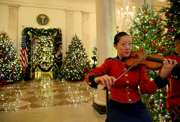 نوازنده در کاخ سفید در کنار درخت های کاج سال نو - اسپوتنیک ایران  