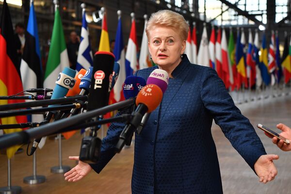 دالیا گریبوسکایته، رئیس جمهور لیتوانی در حال پاسخ دادن به سوالات خبرنگاران - اسپوتنیک ایران  