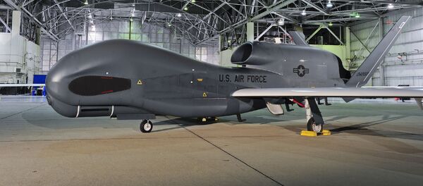 انهدام پهپاد آمریکایی حق طبیعی ایران بود انهدام پهپاد آمریکایی حق طبیعی ایران بود - اسپوتنیک ایران