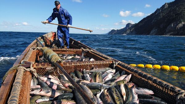 ماهیگیران مشغول صید در ساحل آخوتسکی جزیره کوناشیر - اسپوتنیک ایران  
