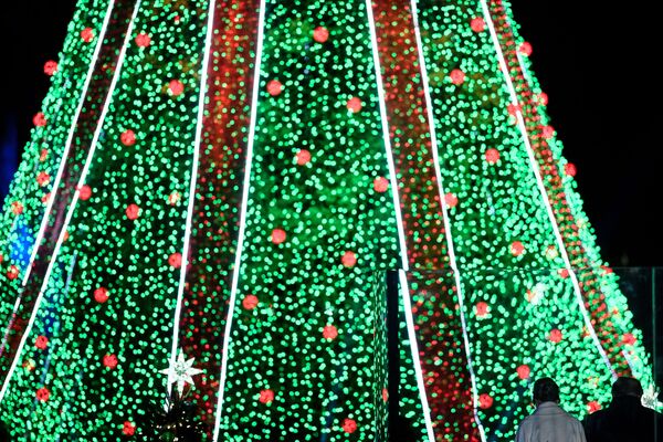 درخت کریسمس در واشنگتن - اسپوتنیک ایران  