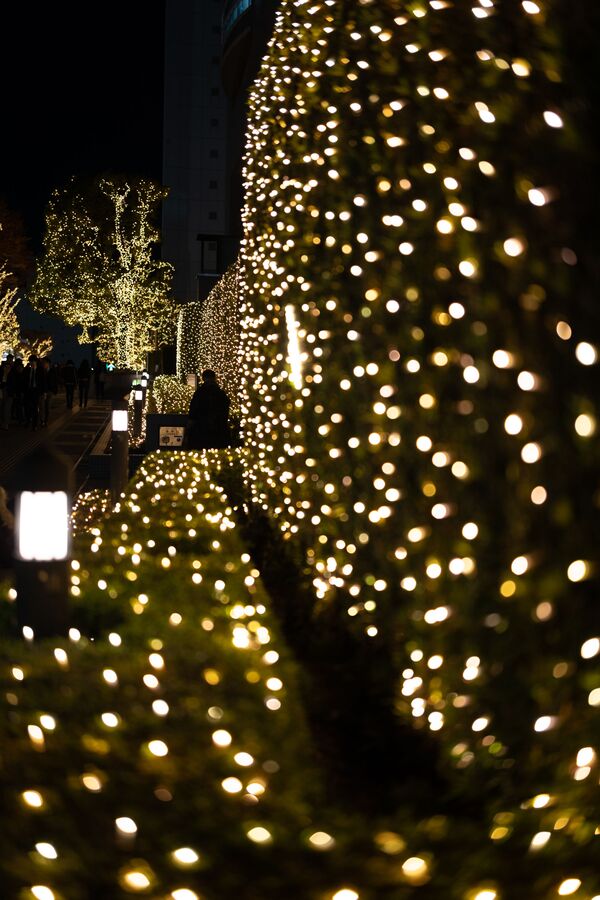 حال و هوای سال نو در کریسمس در توکیو - اسپوتنیک ایران  