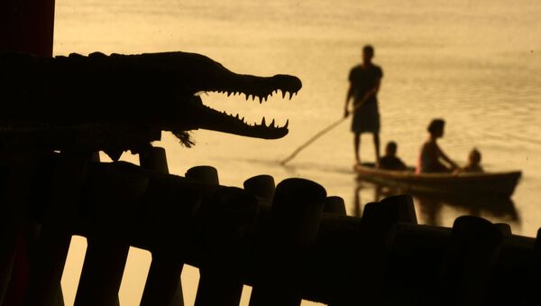 Мужчины ловят рыбу рядом с крокодилом в Барра-де-Сантьяго. Сальвадор - اسپوتنیک ایران  