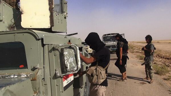 شبه نظامیان مانع از خروج شهروندان از الفلوجی در عراق شدند - اسپوتنیک ایران  
