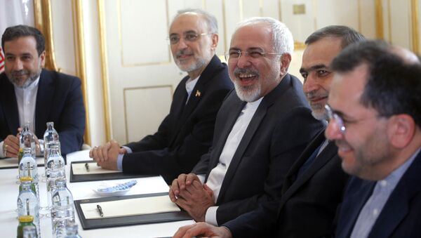Министр иностранных дел Ирана Джавад Зариф на переговорах в Вене - اسپوتنیک ایران  