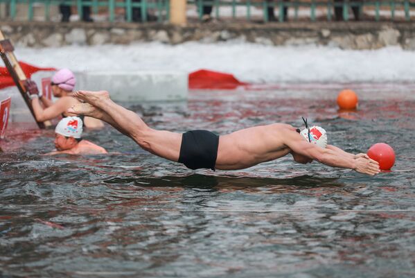 شناگر در زمان مسابقات شنای زمستانی - اسپوتنیک ایران  